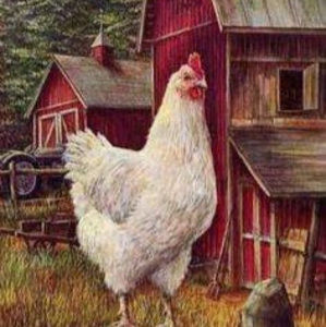 Meet your Posher, Denise